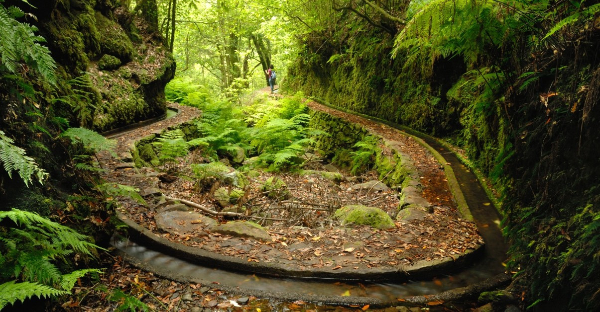 Hiking Rules in 2026 3 https://blog.madeira.best/storage/uploads/img/2020-05-18-123835605ccb87714ca605ccb877153f.jpeg