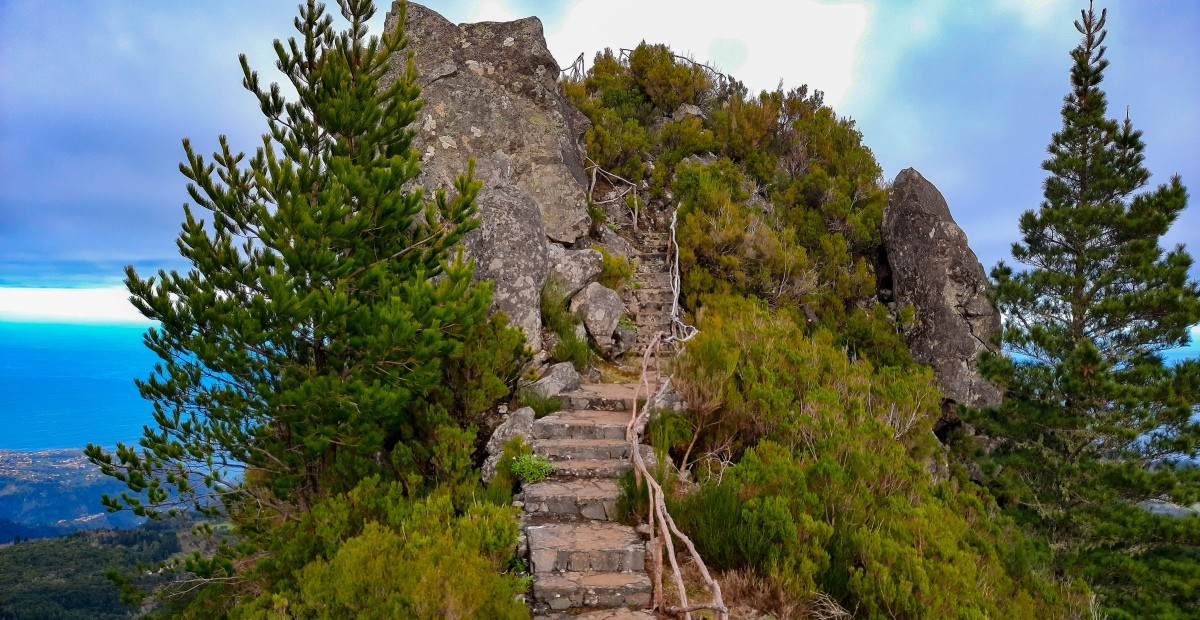 Picarouto Viewpoint santana