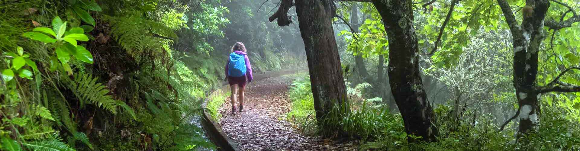 Best 5 Hikes in Madeira Island