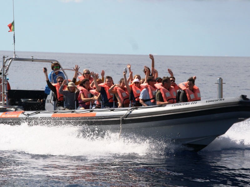 Observacao de Golfinhos e Baleias na Ilha da Madeira