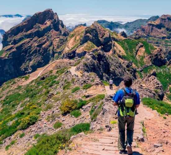 Best Guided Walks in Madeira Island