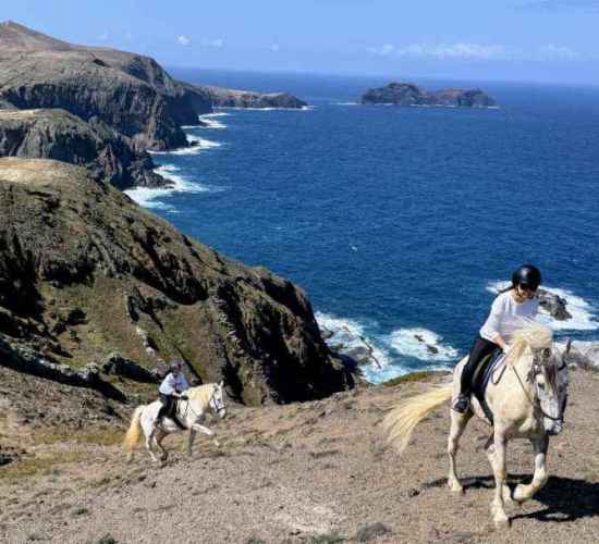 Advanced Horse Riding in Porto Santo – Trotting and Galloping