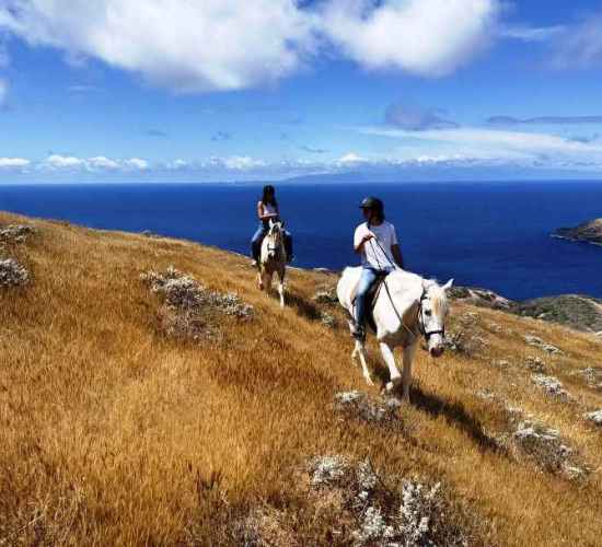 Porto Santo on Horseback – Cordilheira do Espigão Tour