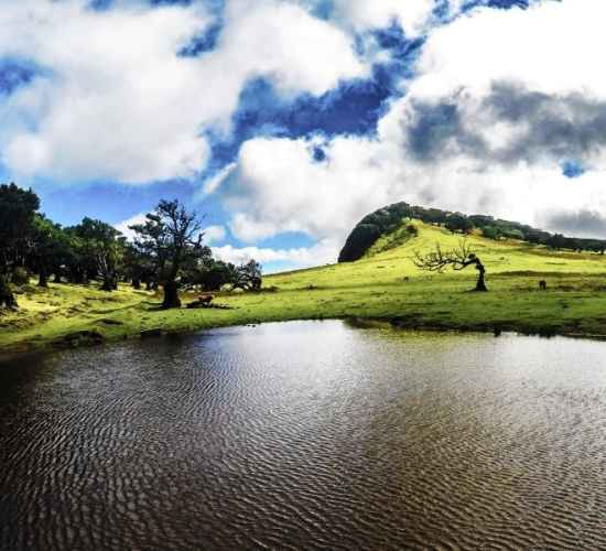 Fanal medium Trail Tour in Madeira Island