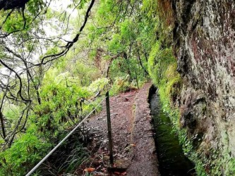 From Queimadas to Caldeirao Verde Levada Walk