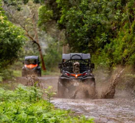 Funduras Buggy Tour in Madeira
