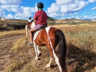 Passeio a Cavalo no Porto Santo às Dunas