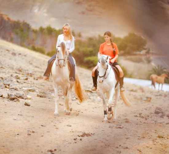 Horse Riding in Porto Santo - Miradouro do Cabeço