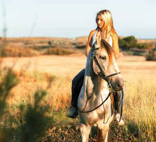 Horse Riding in Porto Santo on the Dunes