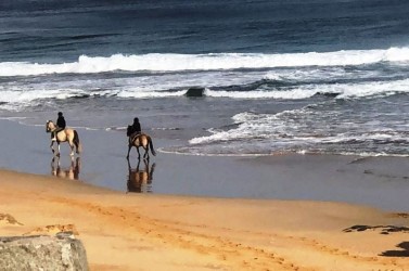 Horse Riding in Porto Santo by the Beach
