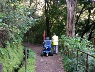 Excursão acessível pela Levada das Queimadas saindo do Funchal