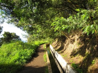 Best 5 Levada Walks in Madeira Island