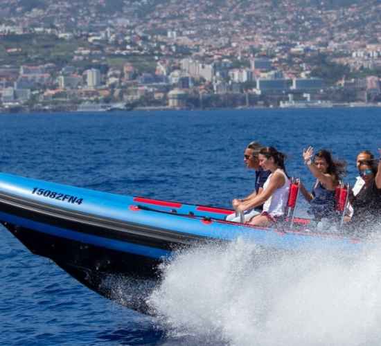 Madeira Dolphin Watching on Speed Boat Tour