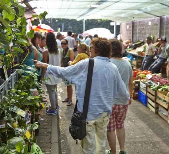 Madeira Market Jeep Tour
