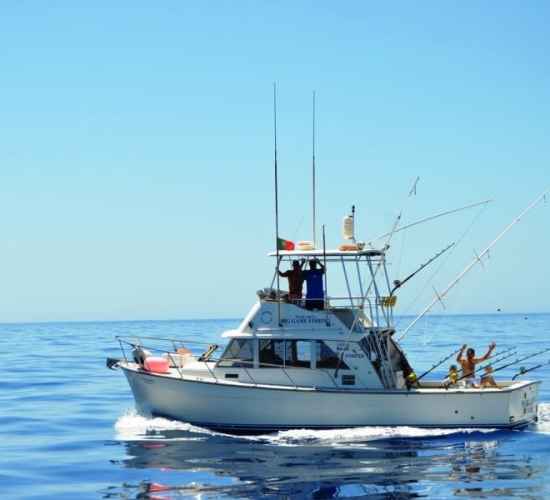 madeira sportfishing private boat