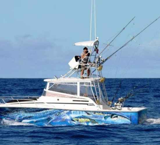 Madeira Big Game Fishing Charter from Funchal