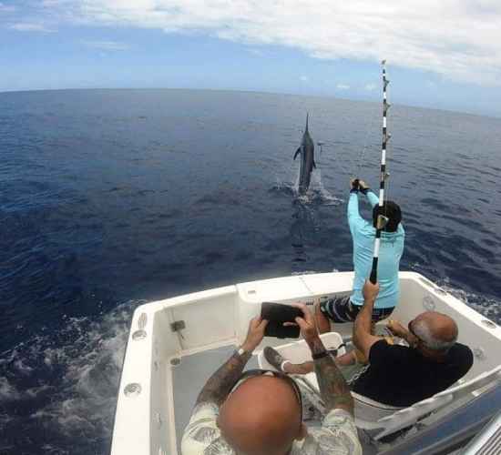 Madeira Bottom Fishing Charter from Funchal