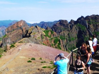 Majestic Mountains Jeep Tour Half Day in Madeira