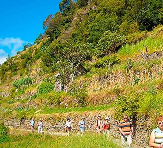 Levada Maroços Vale das Mimosas