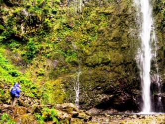 PR9 Levada do Caldeirão Verde na Ilha da Madeira