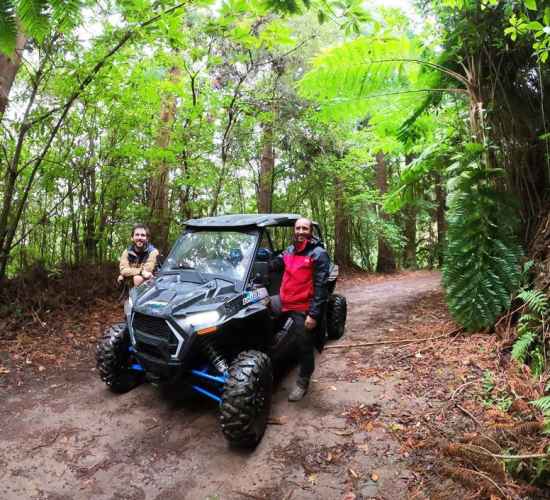 Private buggy tour in Madeira - The Forest Escape