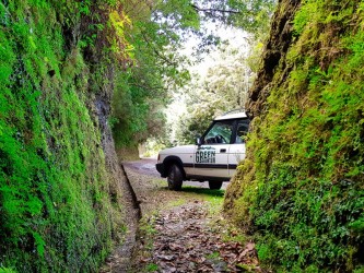 Sunrise & Reforest Madeira Nature Jeep Tour