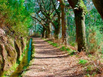 Vale Paraiso to Rochao Walk Madeira