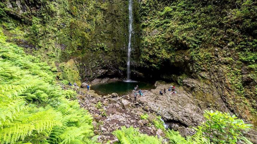 12 Beautiful Places to Visit on Madeira Island - Caldeirao Verde