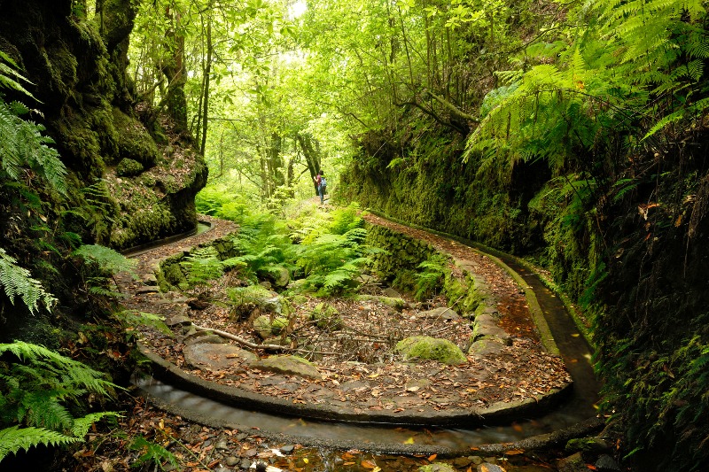 5.-Cedros-Levada-Walk-in-Madeira-Island