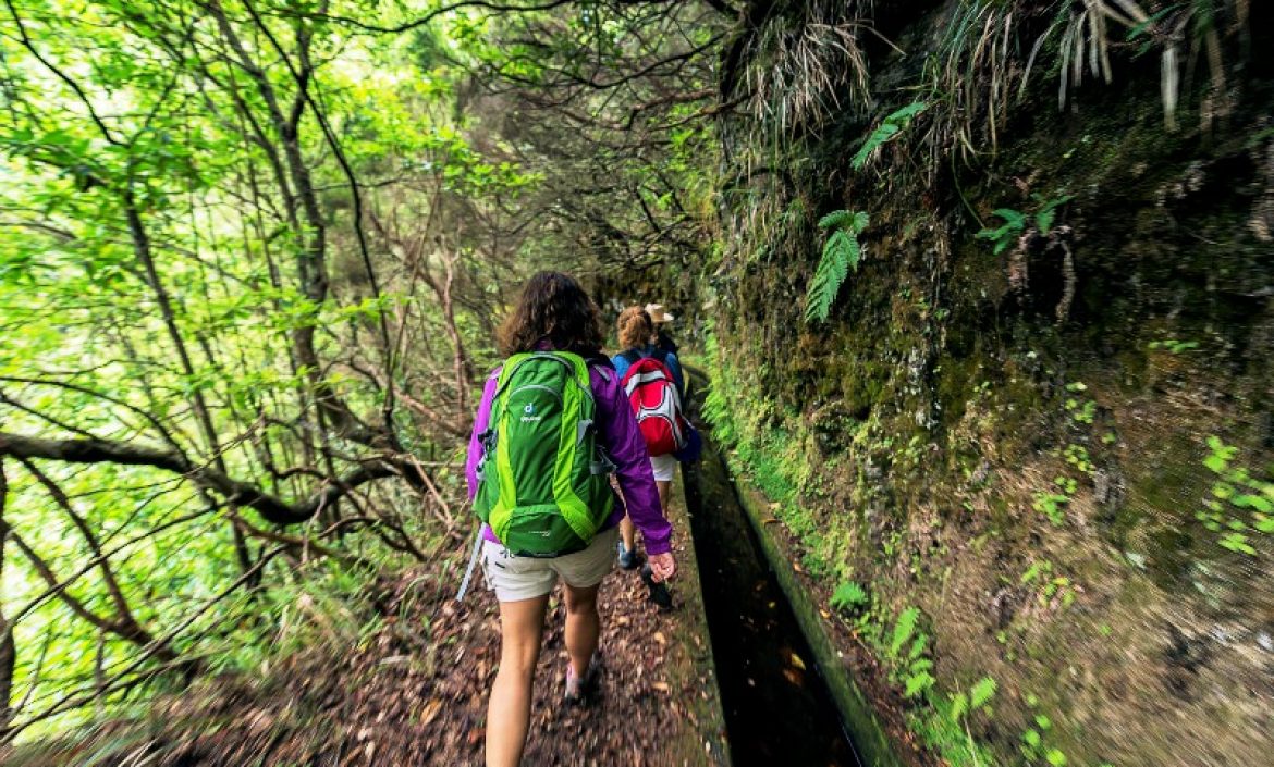 As-5-Melhores-Caminhadas-nas-Levadas-da-Ilha-da-Madeira