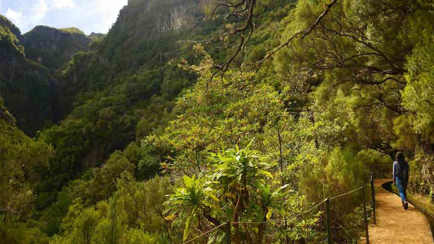 Best 5 Hikes in Madeira - Rabaçal 25 Fountains