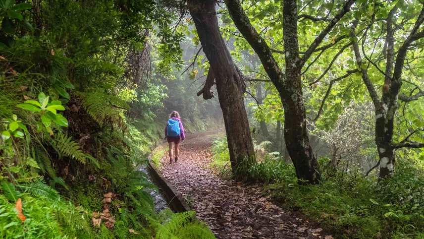 Best time to visit Madeira island for hiking - Levada do Furado Walk