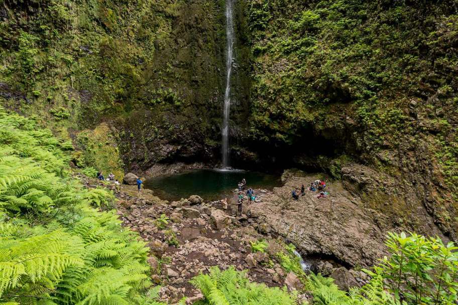 Best Guided Levada Walks in Winter (Madeira) - Caldeirao Verde Levada walk