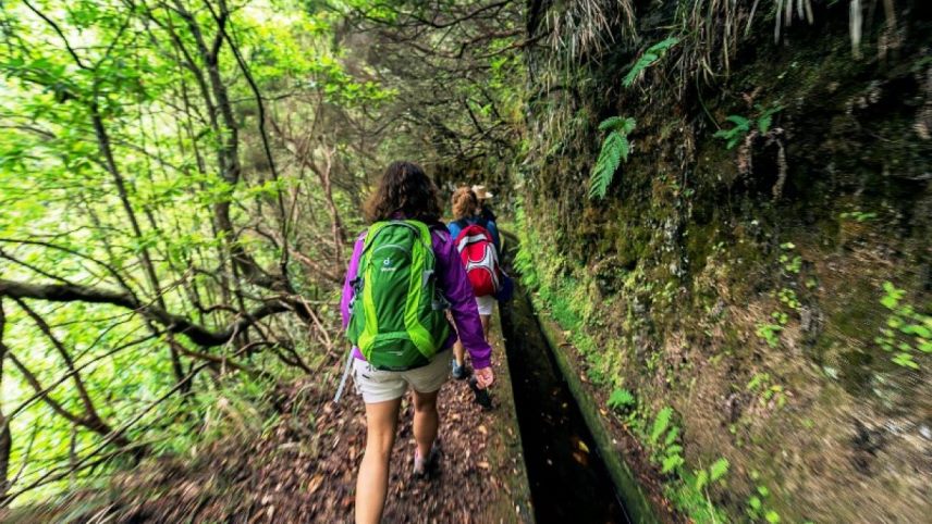 Best activities for families in Madeira island - Levada Walks