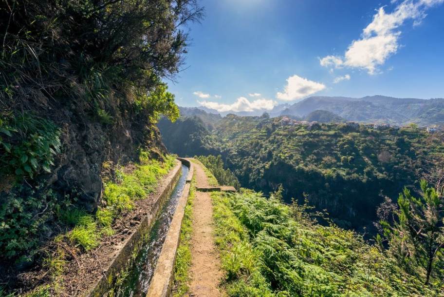 Best Guided Levada Walks in Winter (Madeira) - Levada Castelejo