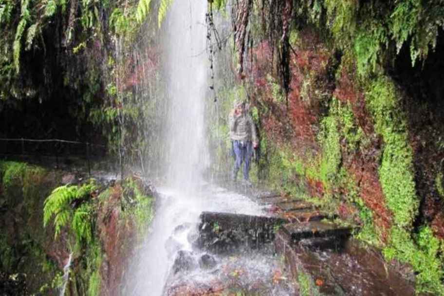 Best Guided Levada Walks in Winter (Madeira) - Levada do Rei