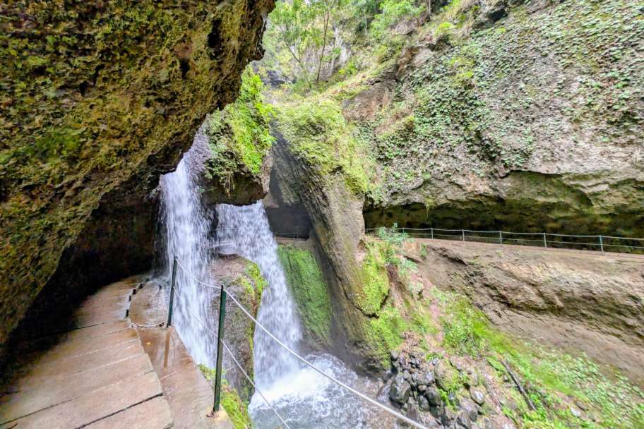 Best Guided Levada Walks in Winter (Madeira)- Levada Nova