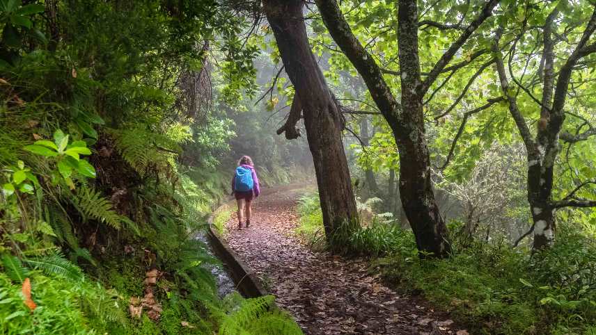 Best Hiking Trails in Madeira island - Levada do Furado WalkBest Hiking Trails in Madeira island - Levada do Furado Walk