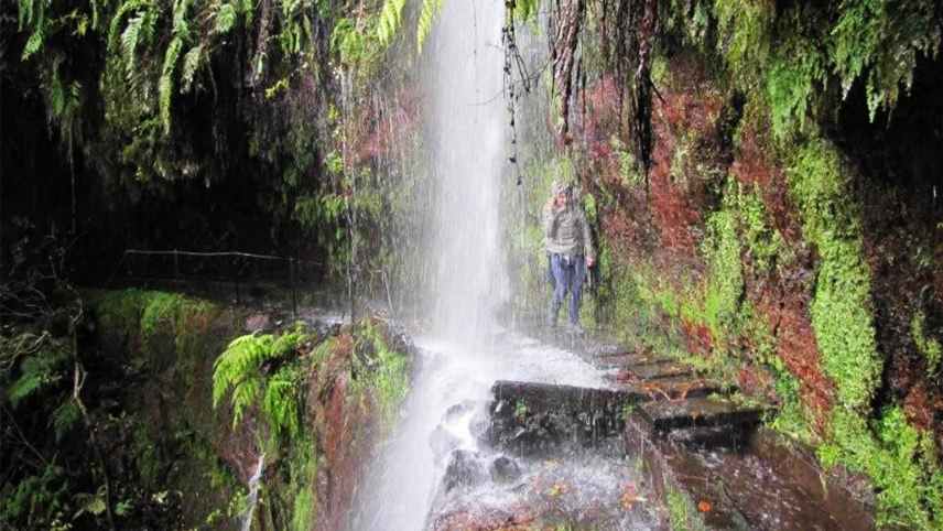 Best Hiking Trails in Madeira island - Levada do Rei