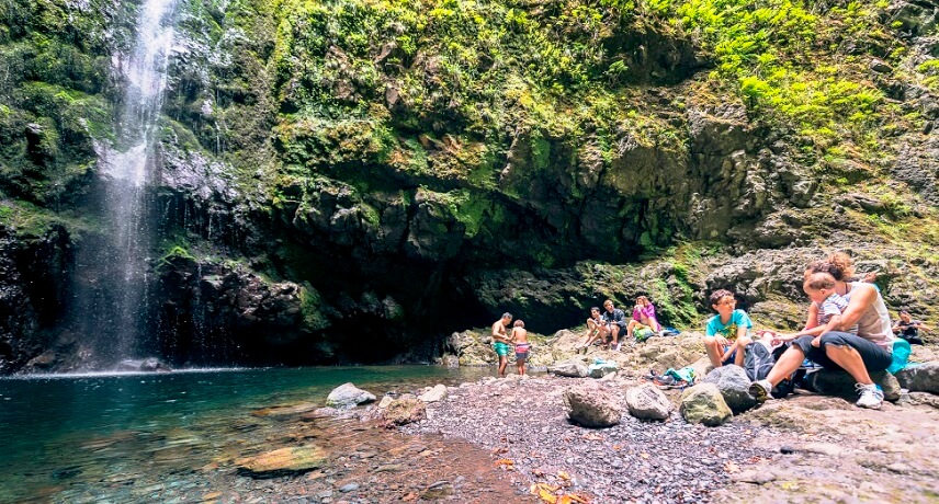 Best Guided Walks in Madeira Island - Caldeirao Verde