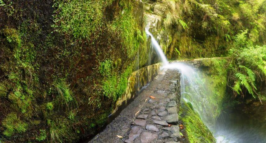 Best Guided Walks in Madeira Island - Ribeiro Frio to Portela