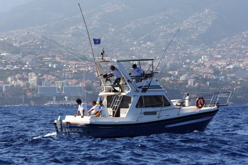 big_game_fishing_on_balancal_fullday_madeira