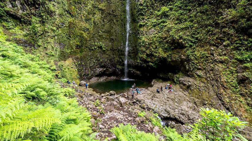 Caldeirao Verde Walk Day Trips from Madeira Island