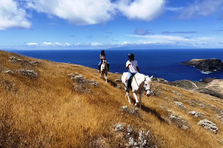 Explore Porto Santo on Horseback &ndash; Cordilheira do Espig&atilde;o Tour