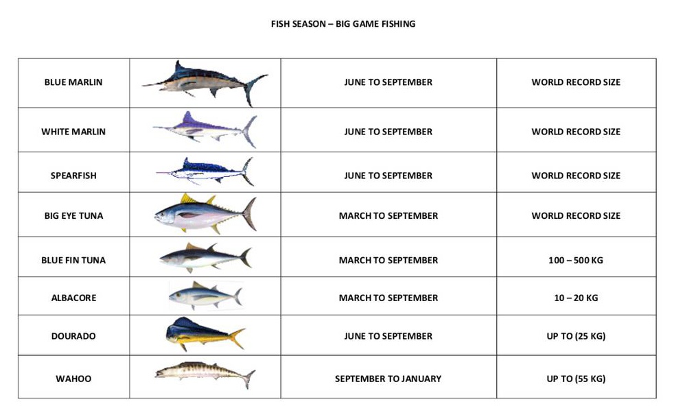 Madeira Big game fishing calendar