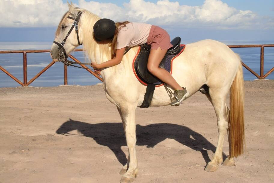 Horse riding in Porto Santo Flores Viewpoint