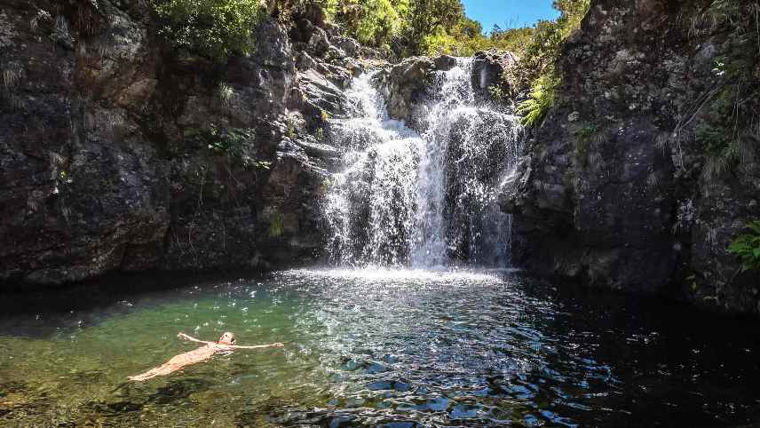 Levada do Alecrim Day Trips from Madeira Island