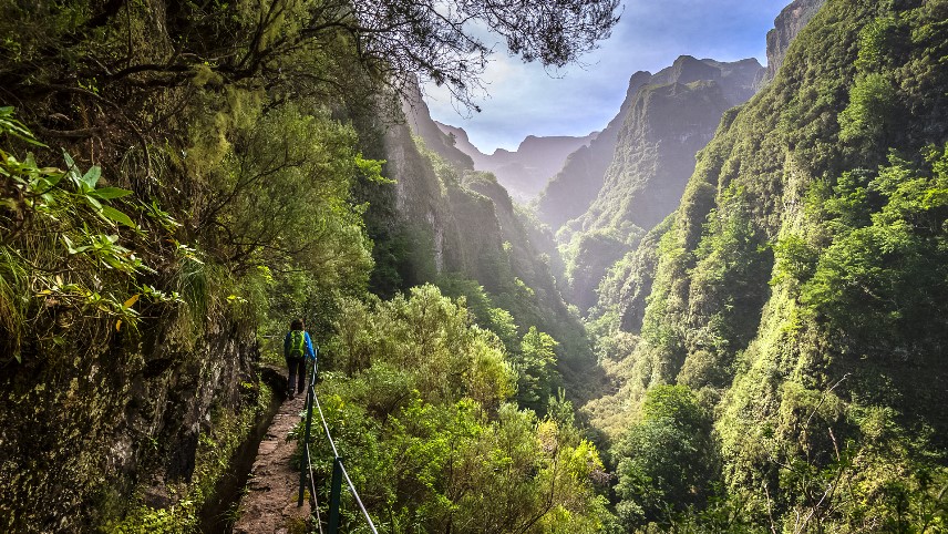 Levada Walks Day Trips from Madeira Island