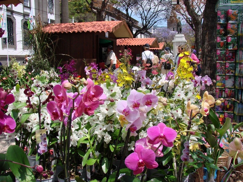 Madeira-Flower-Festival-
