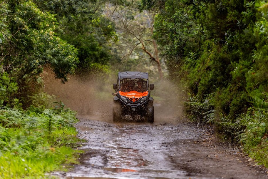 Madeira Buggy Tours – What to Expect - Funduras Buggy Tour Madeira Buggy Tours – What to Expect - Funduras Buggy Tour